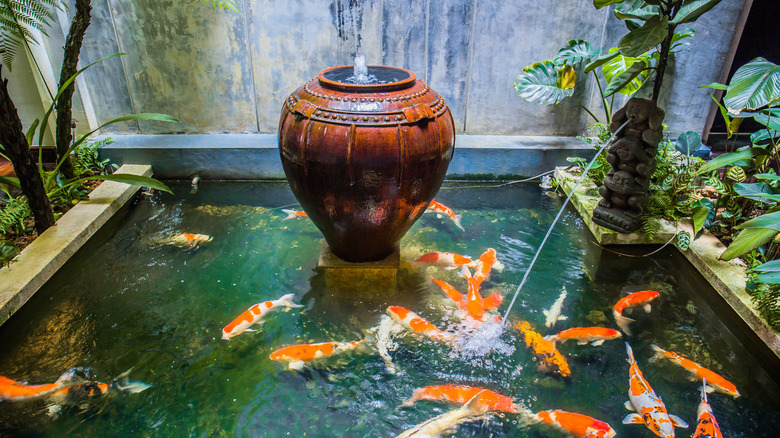 koi pond with a vase