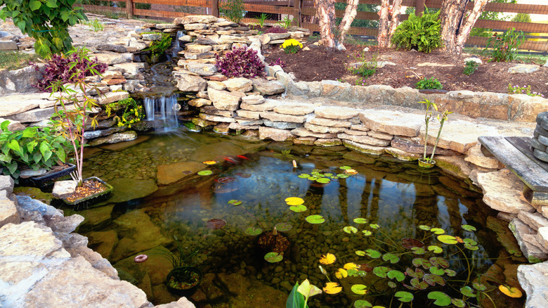 pond with layered rocks