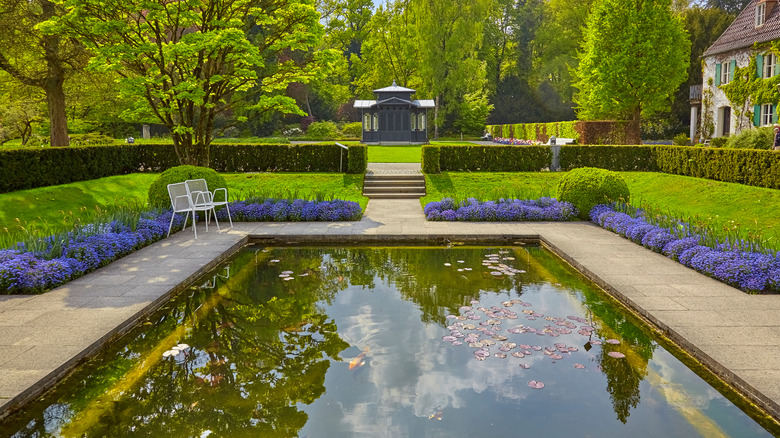 koi pond with hedges