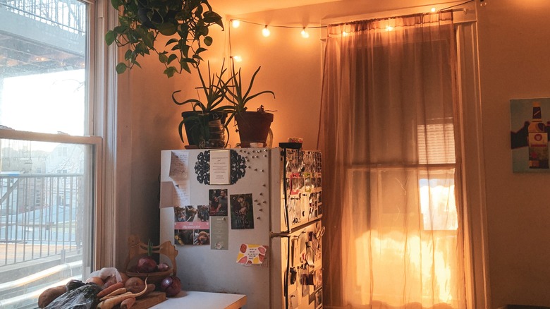 Cozy kitchen string lights