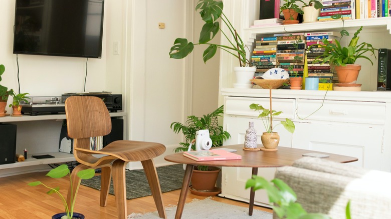 Bookshelf area living room