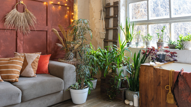 Maximalist plant bathroom