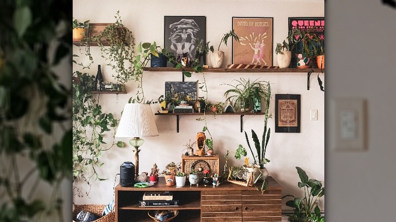 Maximalist shelf area