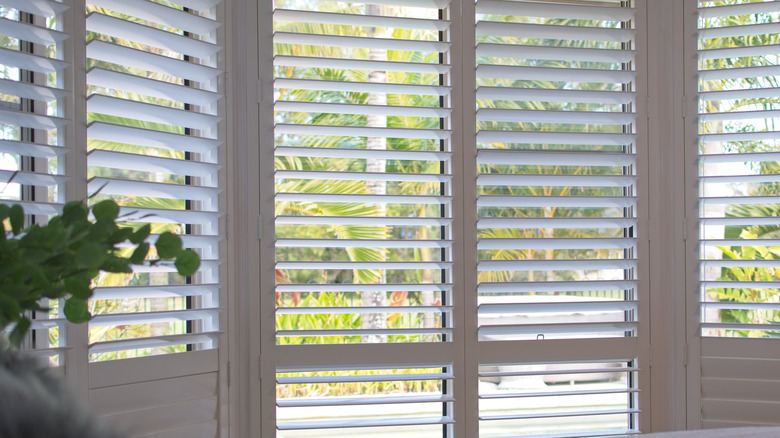 white blinds on window