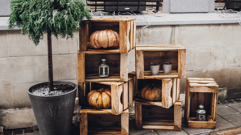 pumpkins in crates on patio