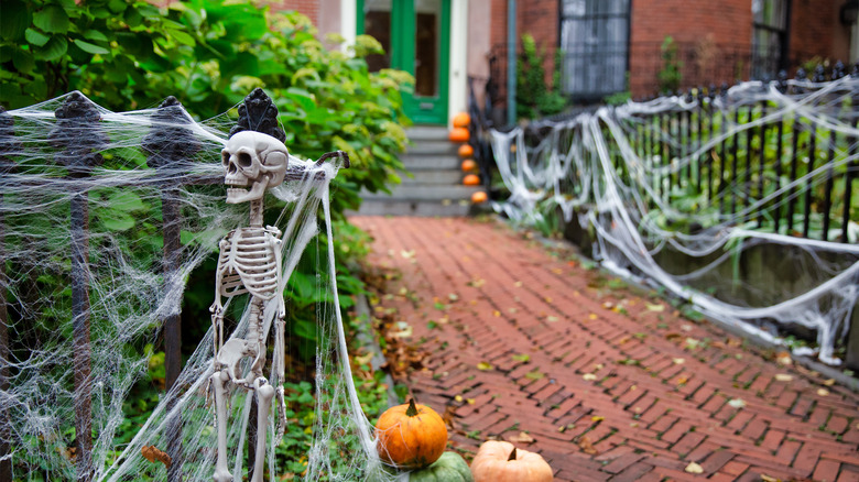 skeleton hangs on a fence