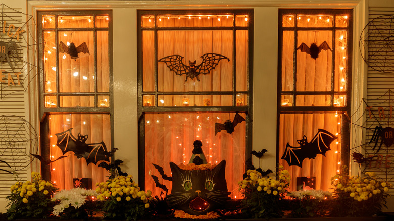 cat decoration in Halloween window