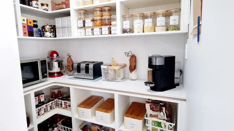 Organized modern pantry