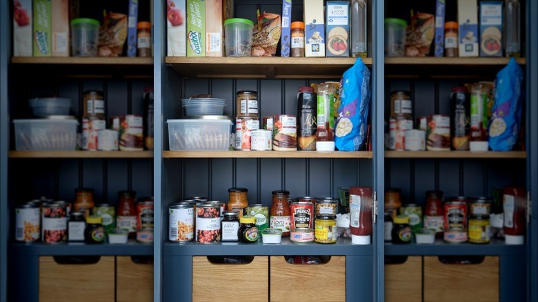 Narrow pantry closet