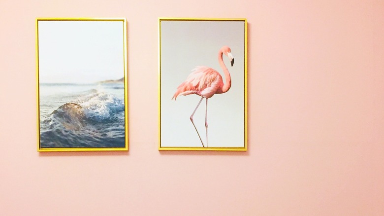 Photo of flamingo and ocean