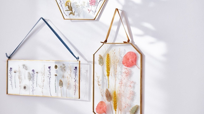 Dried flower glass shadow boxes