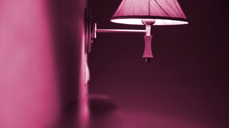 mauve wall with lamp