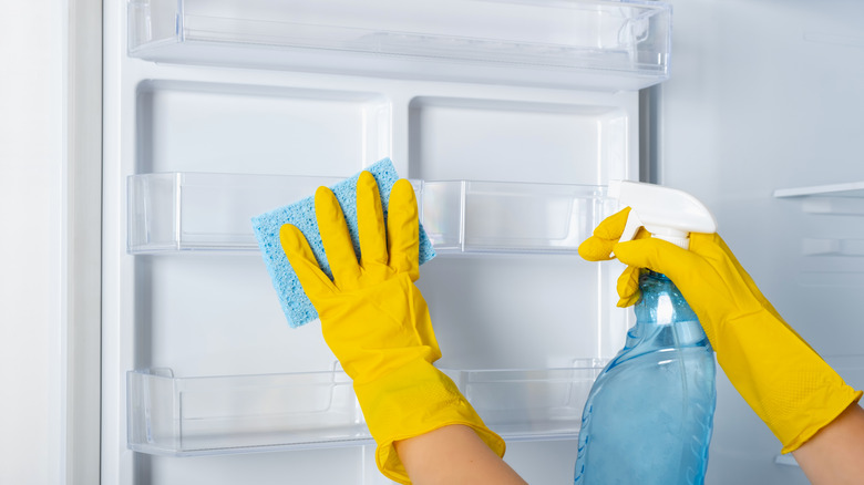 person cleaning inside a refridgerator