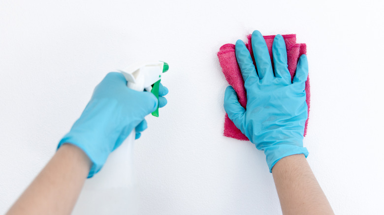 person cleaning white walls