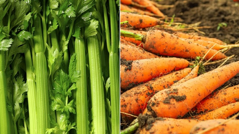 Celery stalks and dirty carrots