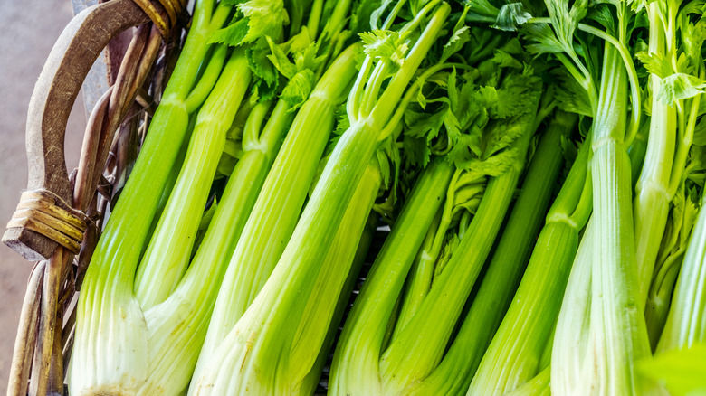 Celery stalks in basket