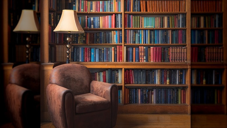 large bookcase behind leather chair