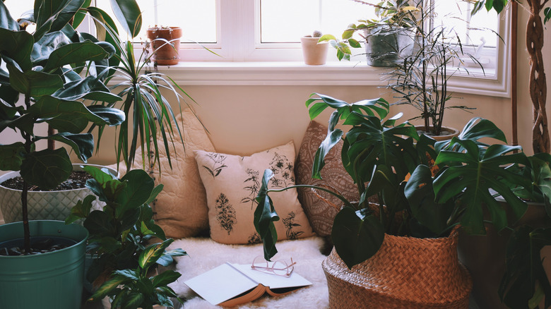 reading space surrounded by plants