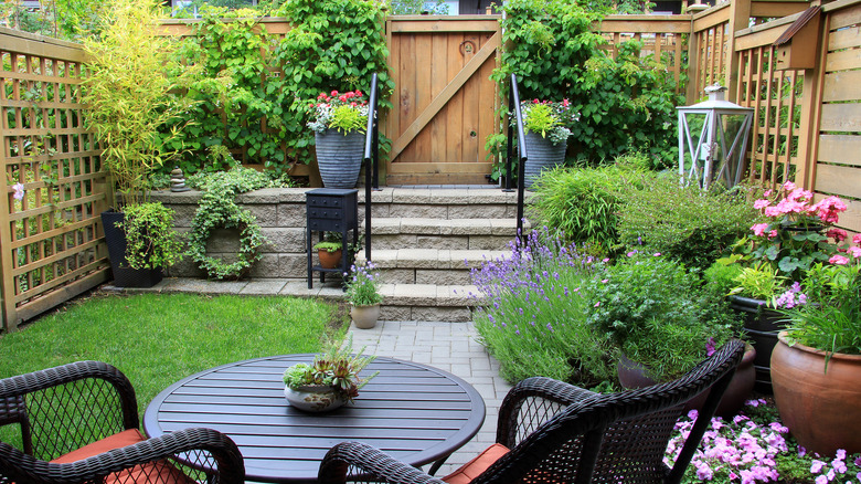 small backyard with lavender