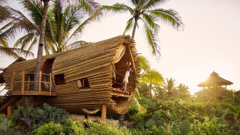 bamboo treehouse with palm trees