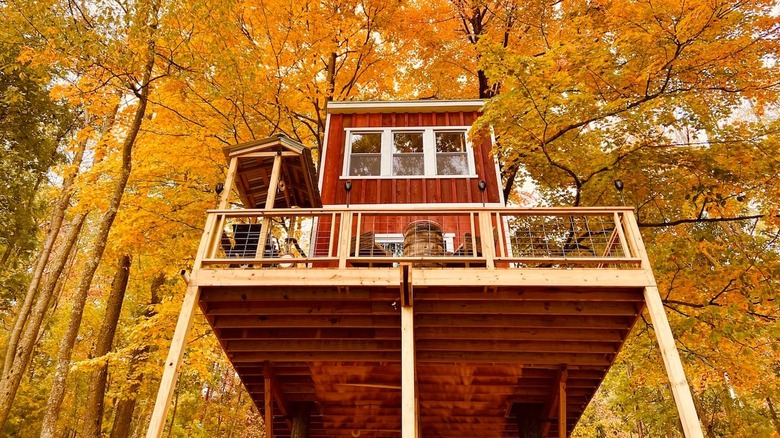 barn-like treehouse in autumn