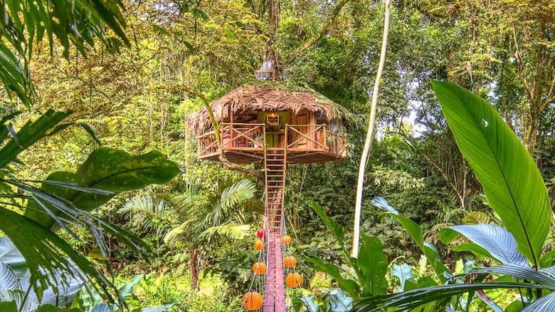 treehouse in the jungle