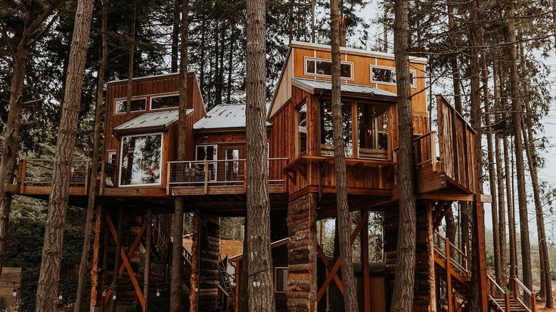 large treehouse in the forest