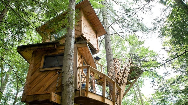 treehouse with diagonal wood panels