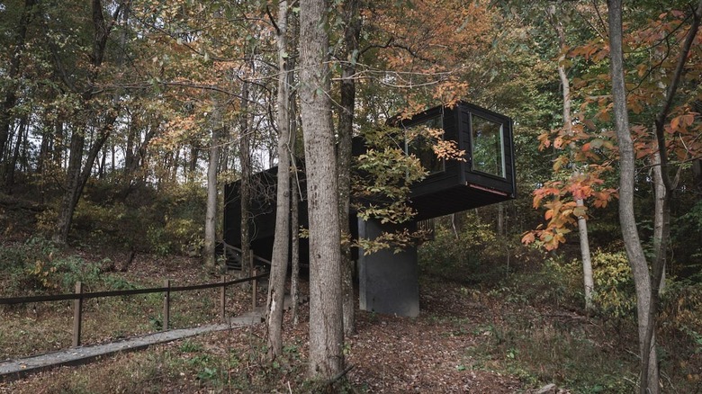 shipping container in the trees