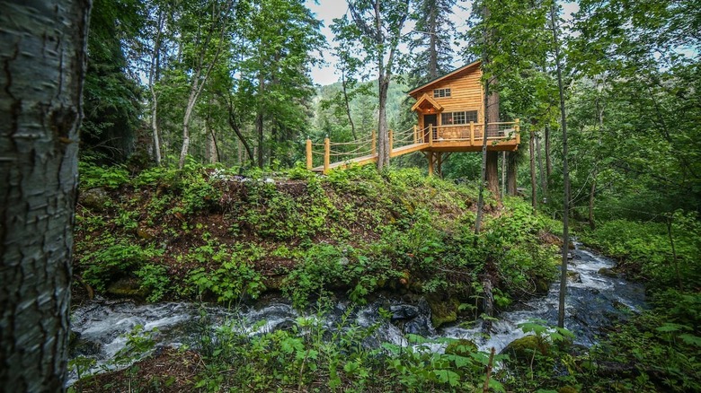 treehouse above a creek