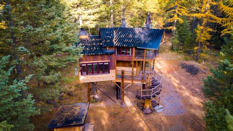 two-story treehouse in the woods