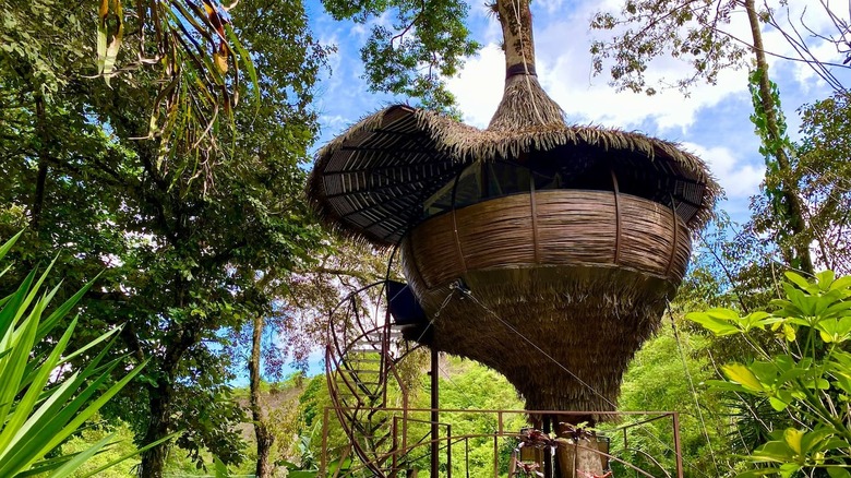funnel-shaped treehouse
