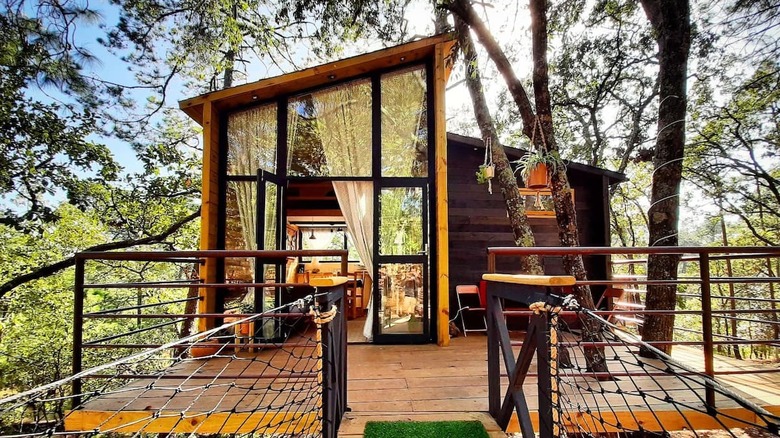 treehouse with lots of windows