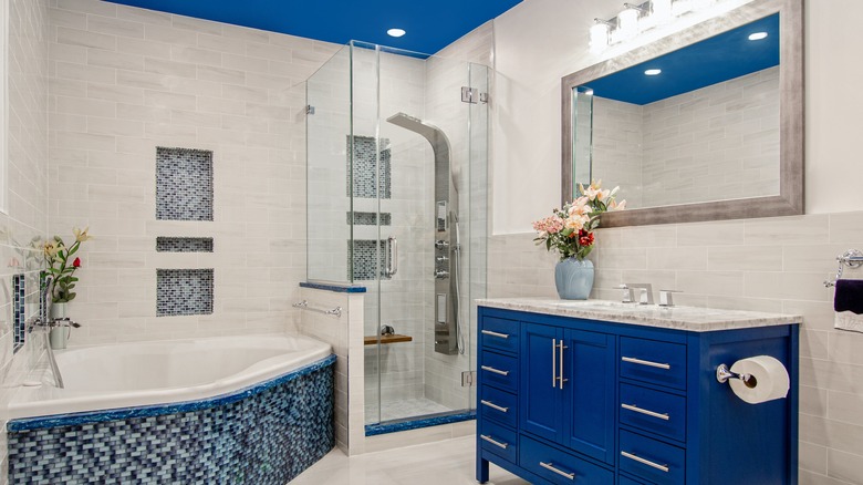 blue and white bathroom