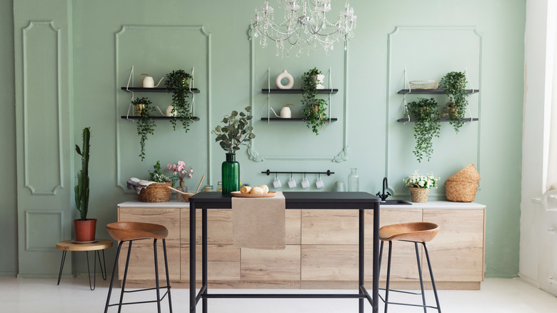 mint green wall with plants