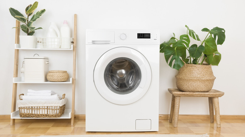 plants in rustic laundry room