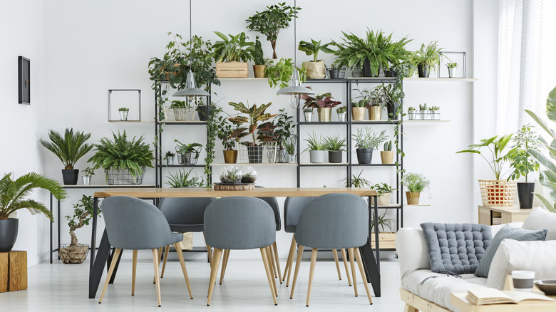 open space interior with plants