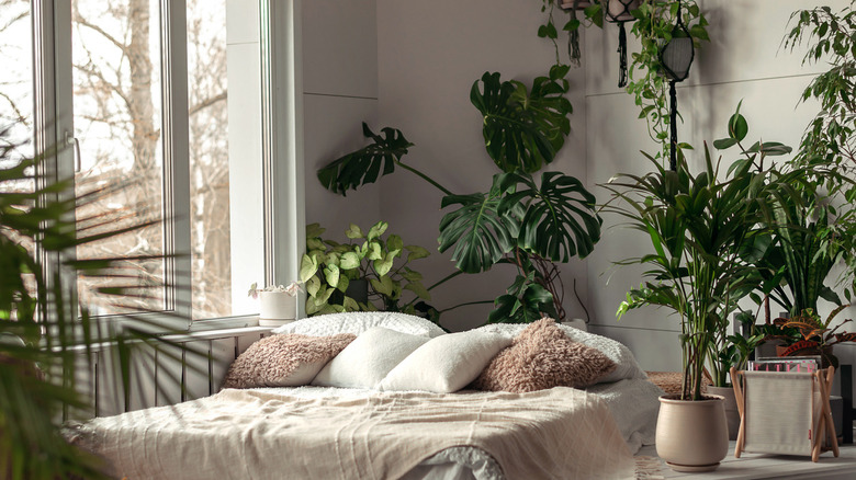 bedroom with indoor plants