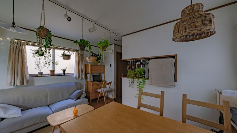  interiors decorated with foliage plants