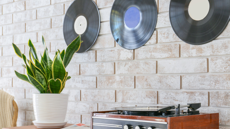 vinyls hanging on wall