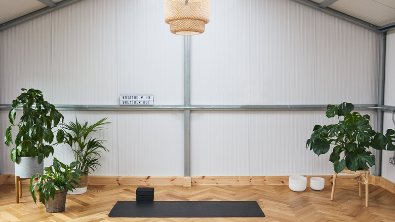 a yoga room with plants