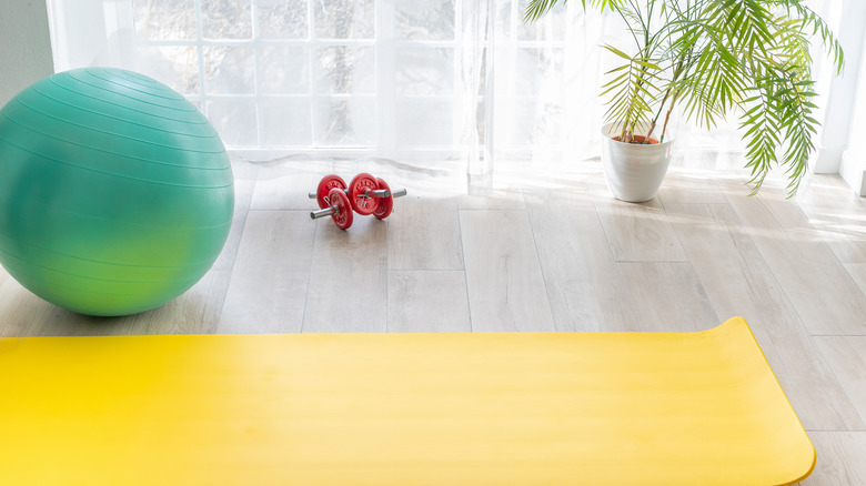 colorful exercise equipment