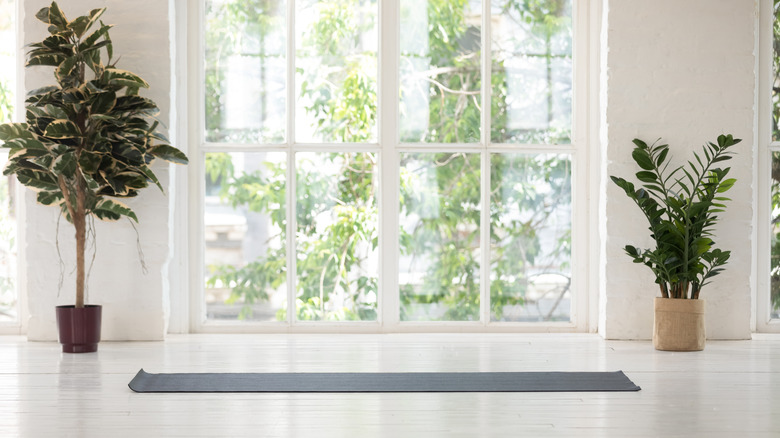 trees in a yoga room