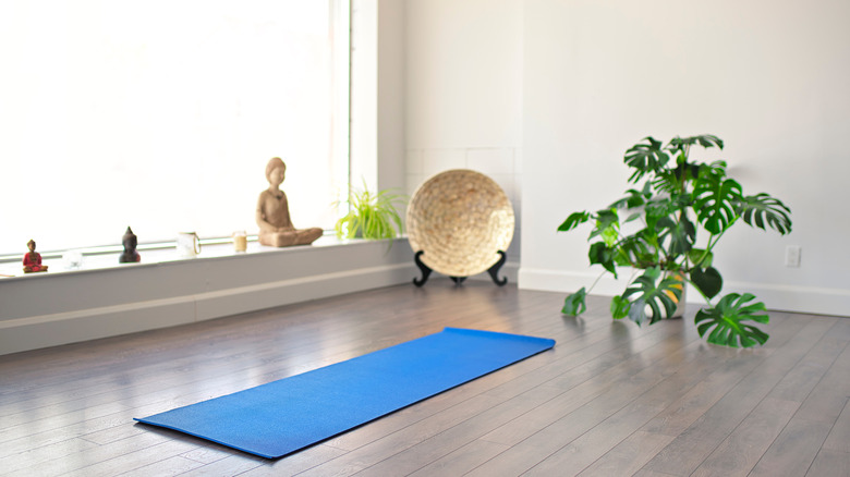 yoga mat with plate