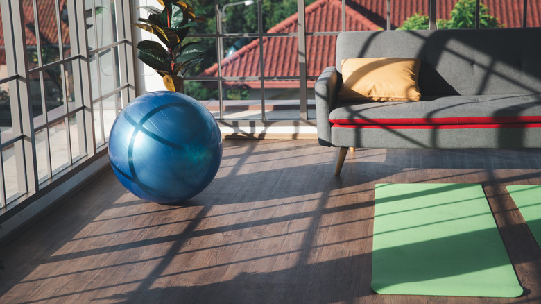 yoga mats with exercise ball