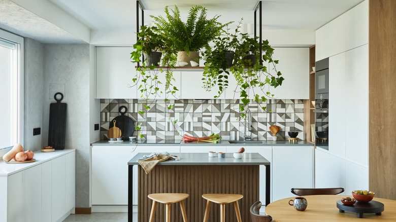 plants above kitchen island