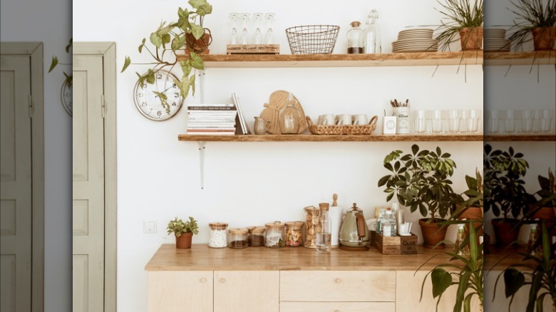 open shelving with green plants