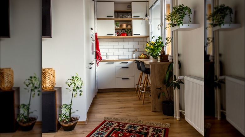 small white kitchen with plants