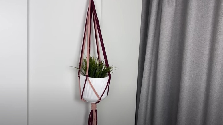 plant pot hanged on wall