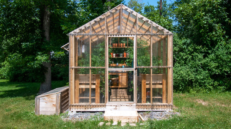 wooden greenhouse backyard 
